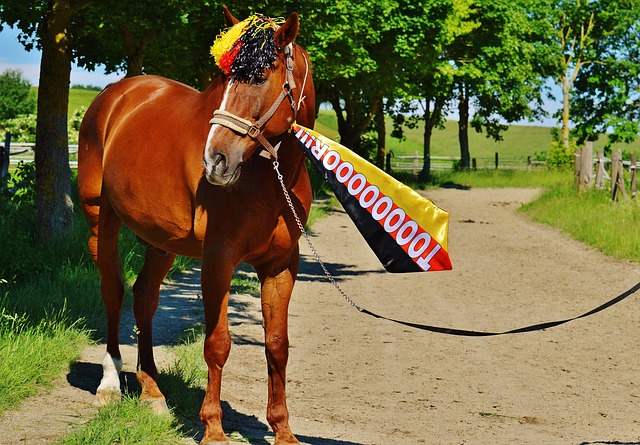 多次拉球结 多次拉球结