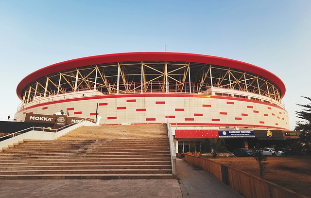 球迷们期待 球迷们期待