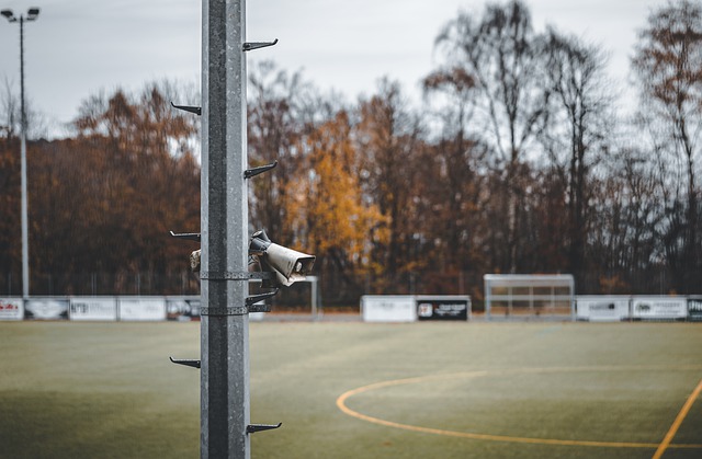 翁泓阳在本 翁泓阳在本