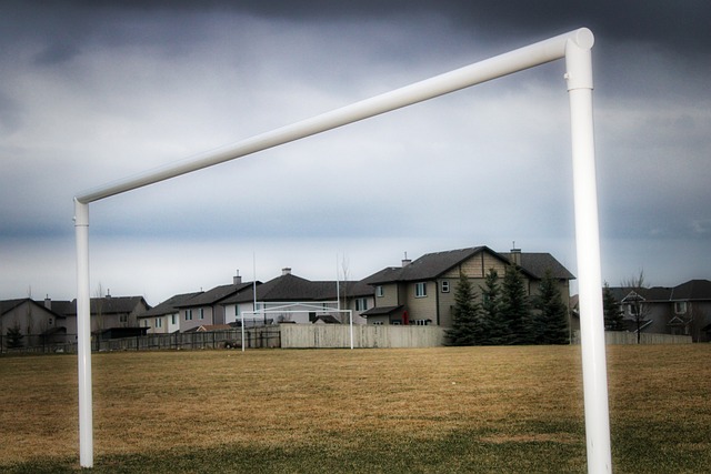 未来展望 未来展望