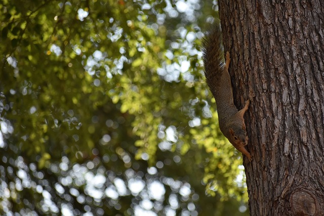 面也展现出 面也展现出