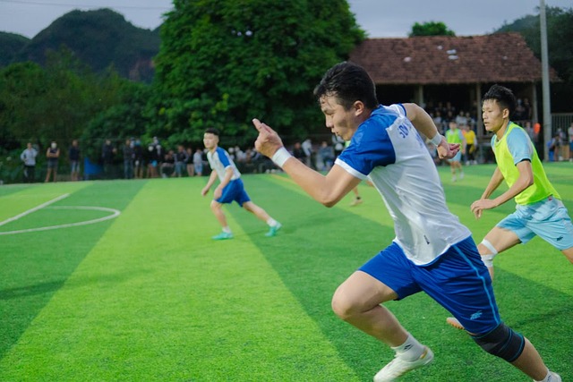 金有限的小 金有限的小