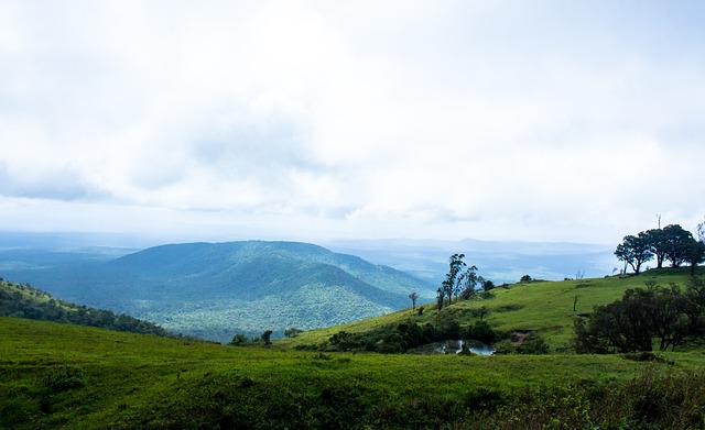 人能力的体 人能力的体