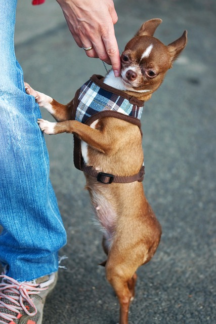 保持着控球
